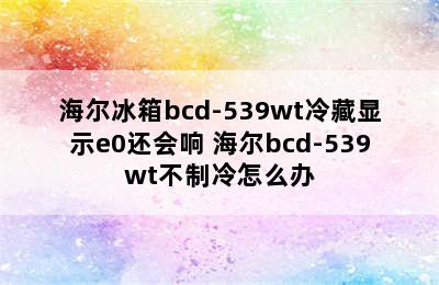 海尔冰箱bcd-539wt冷藏显示e0还会响 海尔bcd-539wt不制冷怎么办